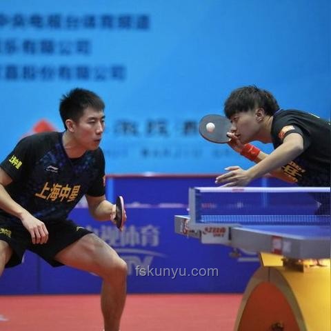 樊振东德甲待遇与国内乒超对比